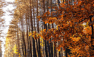 抖音粉丝如何降低？这些方式你知道吗？