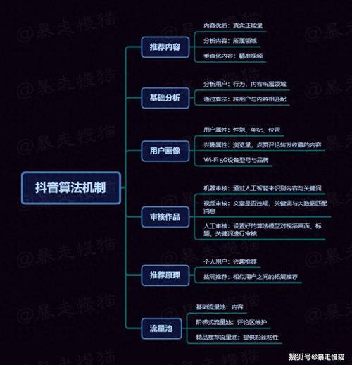 抖音算法原理公开_抖音平台治理审核流程_抖音粉丝下单链接秒到账