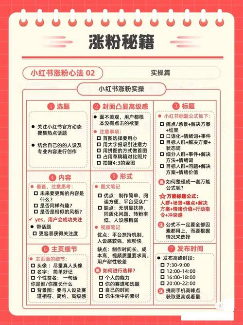小红书涨粉逻辑的四个方面_小红书涨粉变现技巧_小红书爆款逻辑